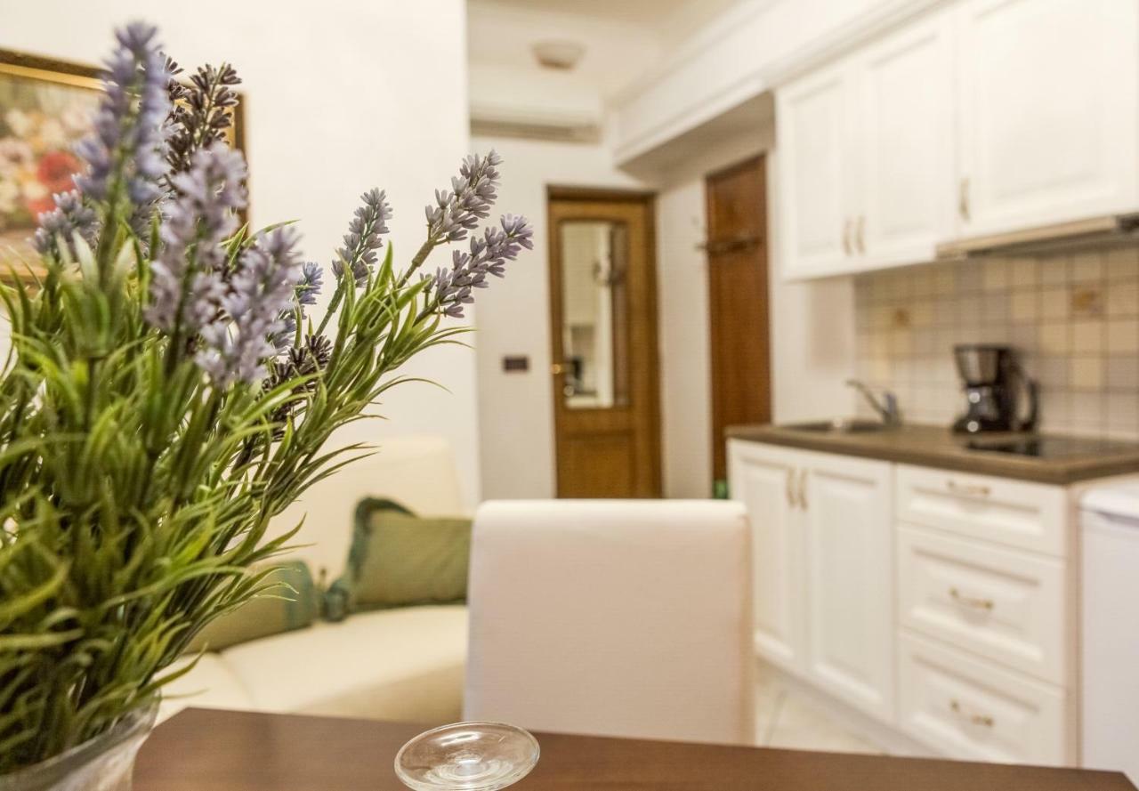 Villa Hasi Poreč Extérieur photo